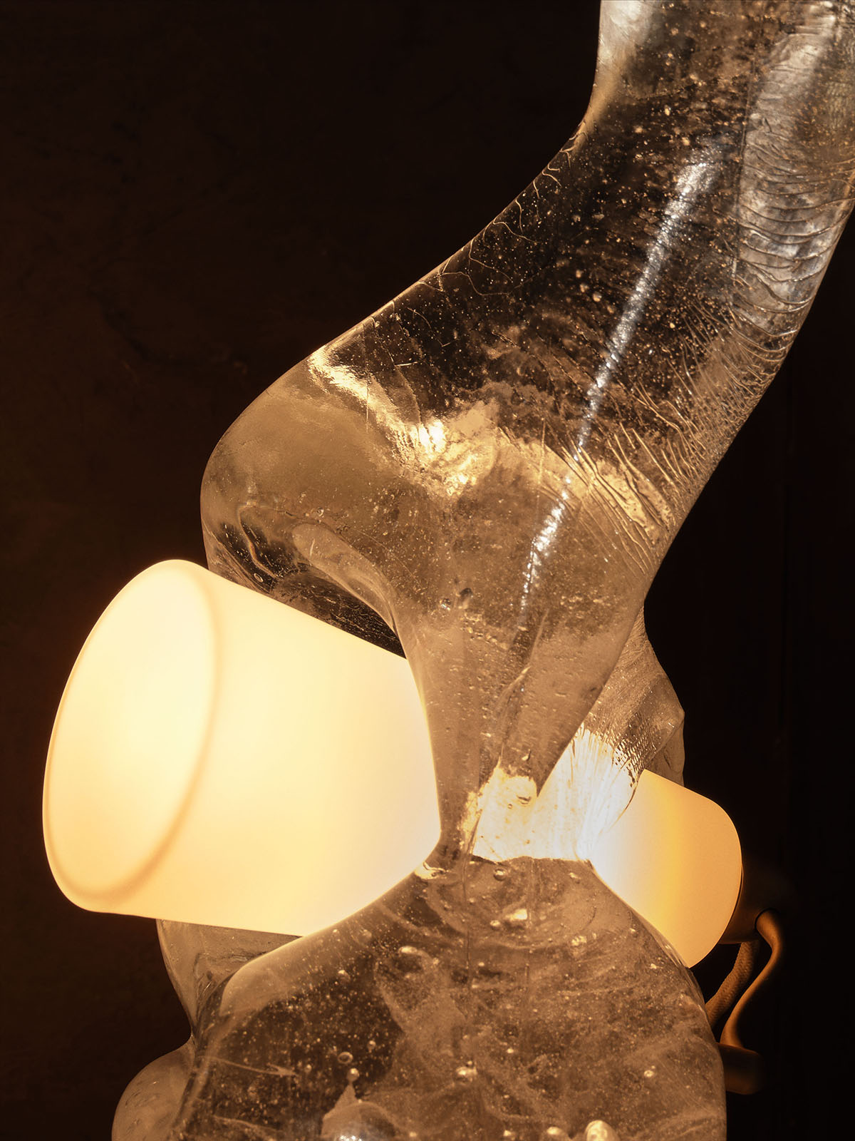 SQUIDGE TABLE LAMP par Anna Karlin
