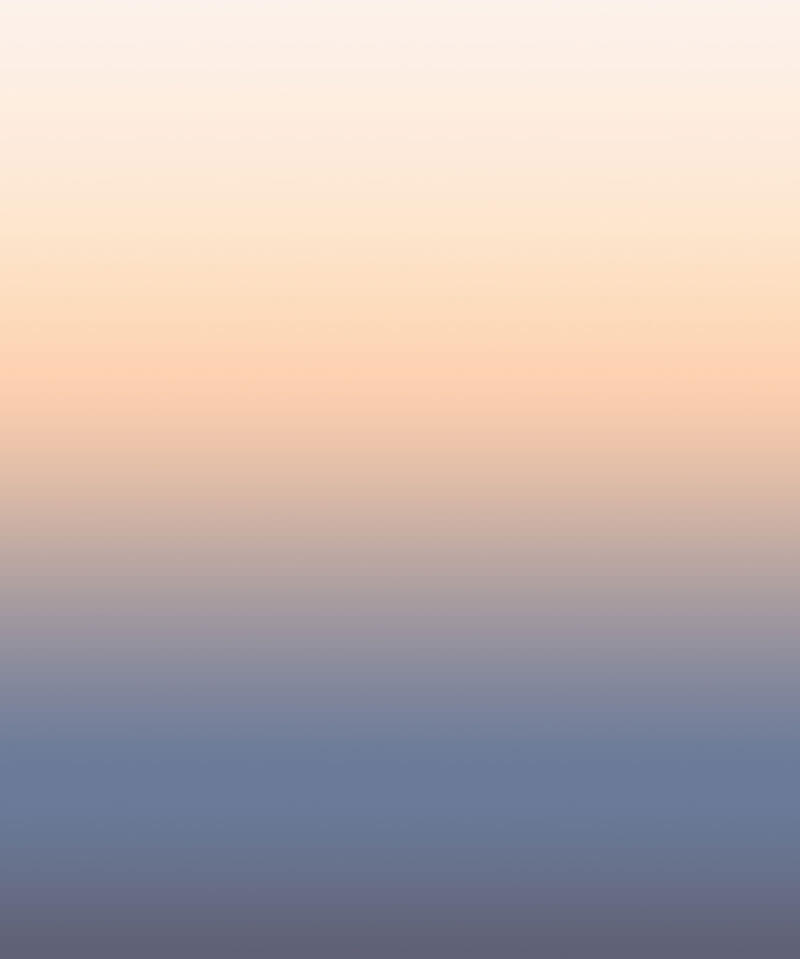 AURORA par Calico Wallpaper