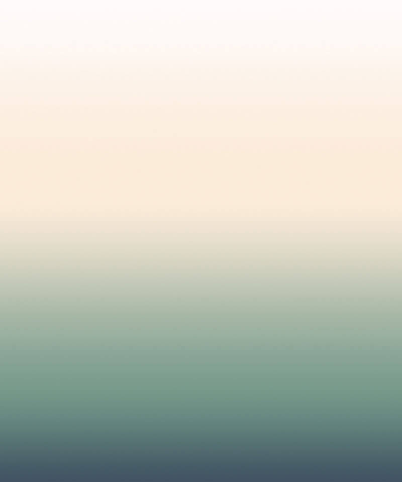 AURORA par Calico Wallpaper