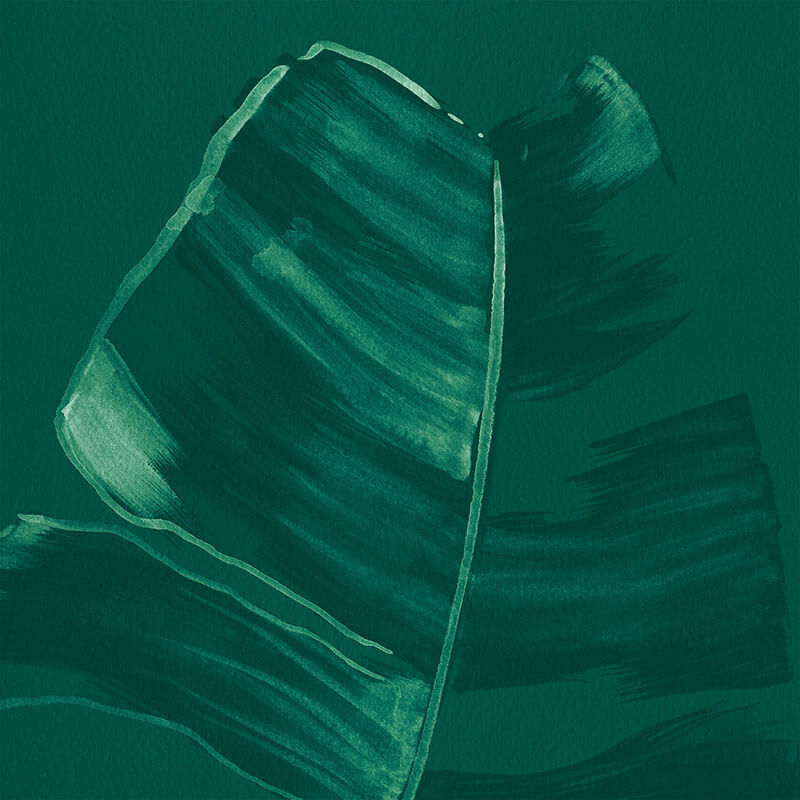 PARADISO par Calico Wallpaper