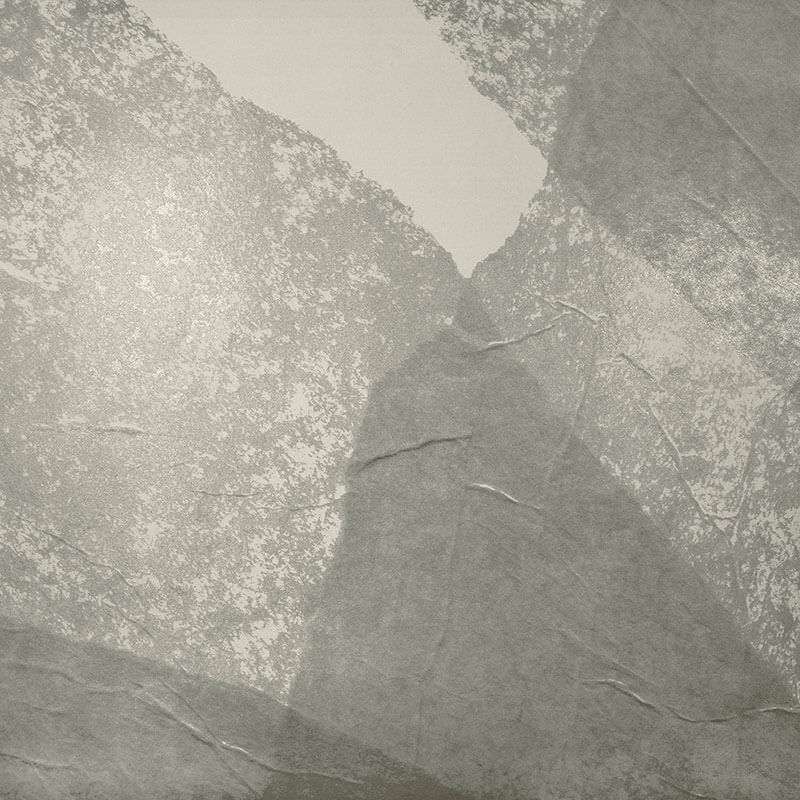 RELIC par Calico Wallpaper
