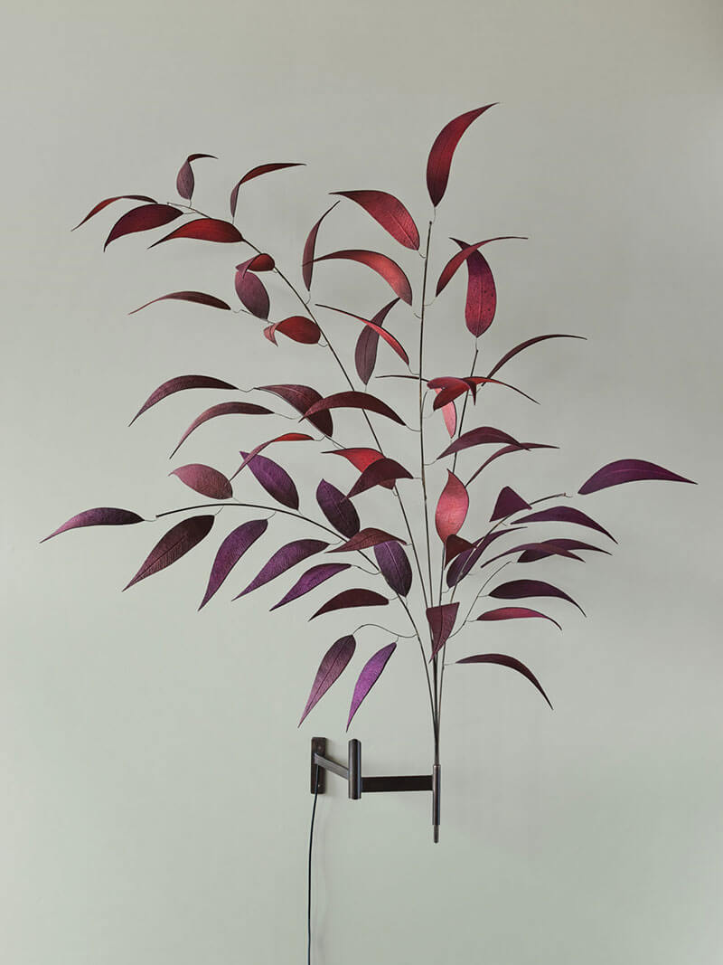 LURE RADIATA par Pelle