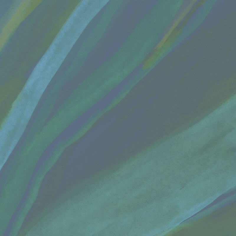 ABSTRACT par Calico Wallpaper