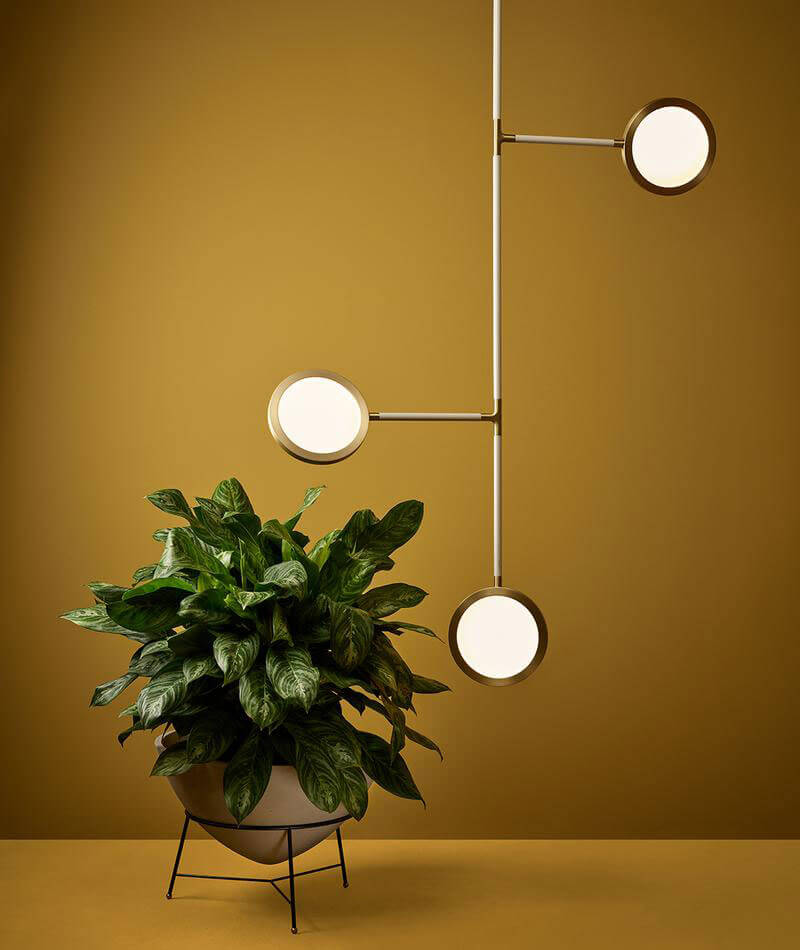 DISCUS VINE 3 par Matter Made
