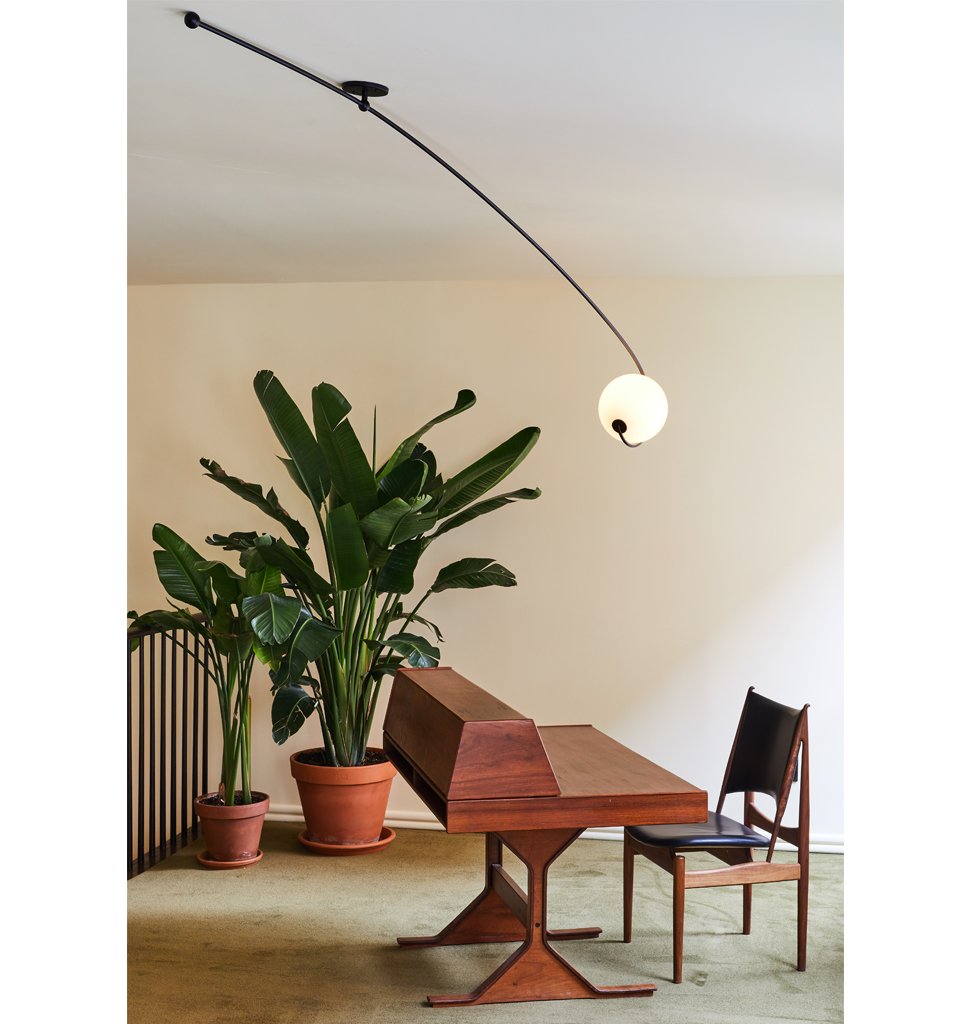 FIDDLEHEAD CANTILEVER par Roll & Hill